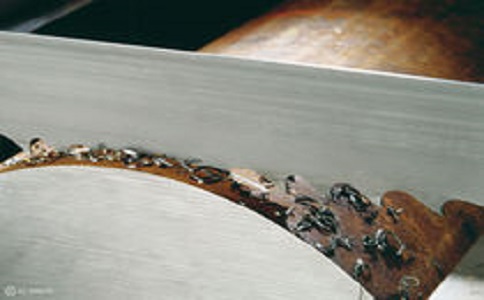 贵阳带锯床线速度设定过高，为什么会导致带锯条齿尖发热加速锯条的磨损？